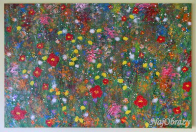 Lúka 120x80 - PREDANÝ